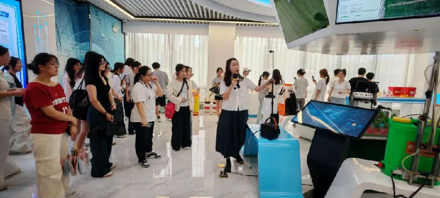 4.jpg 图片
